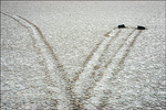 Photo: Mysterious moving rocks and trails at the Racetrack, Death Valley National Park, California