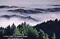 Fog and rolling hills as seen from near the summit of Mount Tamalpais, Mount Tamalpais State Park, Marin County, California