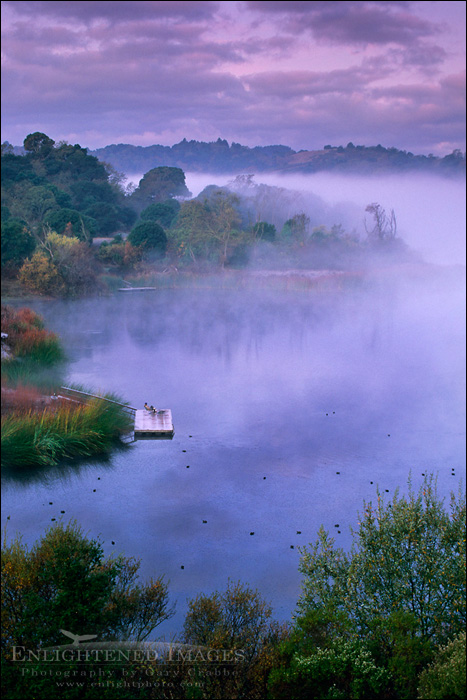 Photo: Early Morning Solitude - Fisherman at the Lafayette Reservoir, Lafayette, Contra Costa County, California