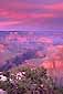 Alpenglow at sunset on storm clouds over the Colorado River, from the south rim, Grand Canyon National Park, Arizona