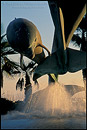 Picture: Dolphin Friendship Statue water fountain at the base of Stearns Wharf, Santa Barbara, California