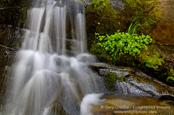 Waterfall cascade stream over rocks, Congress Trail, Giant Forest, Sequoia National Park, California; Stock Photo photography picture image photograph fine art decor print wall mural gallery