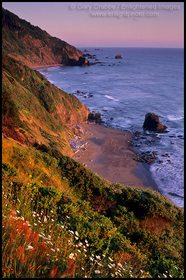 Photo: Sunset light on coastal cliffs over beach near Crescent City, Redwood National Park, California