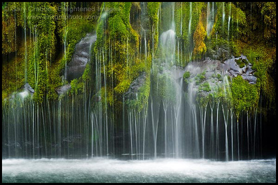 Photo: Snow frosted tree in Yosemte Valley, Yosemite National Park, California