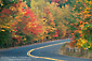 Picture: Fall colors autumn foliage on trees along curved rural country road, Connecticut