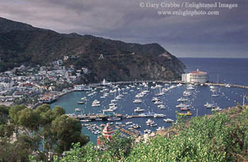 Overlooking Avalon Harbor, Santa Catalina Island, California
